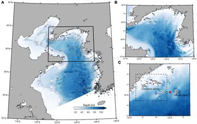 Summertime M2 Internal Tides in the Northern Yellow Sea